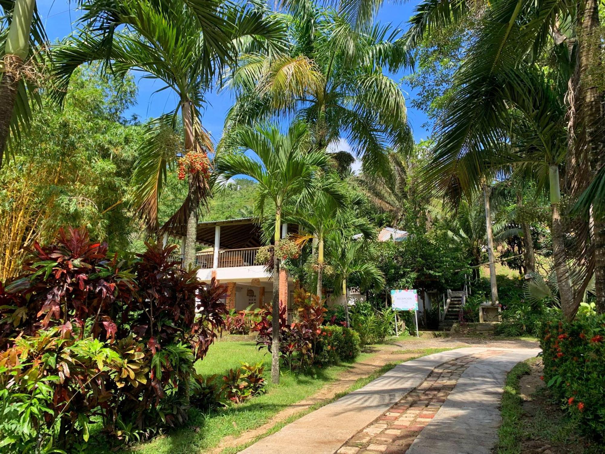 Hotel La Casablanca Tayrona House Calabazo  Esterno foto